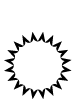 fauusp